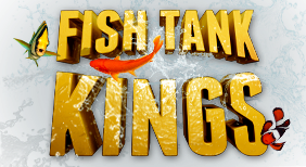 AAA_fishtankkings